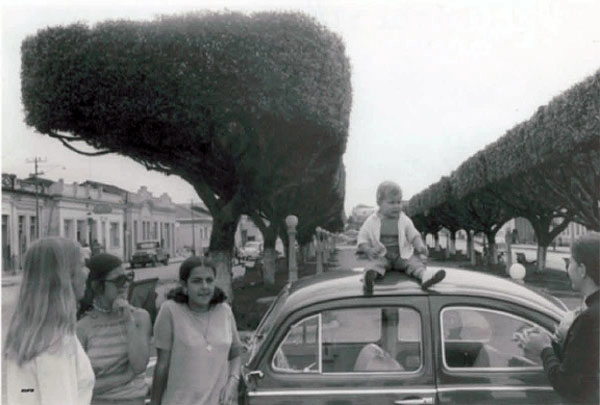 Rua arborizada maravilhosa de Muzambinho. E o garotinho posou para a foto no teto de um Fusquinha. Foto enviadas por Antonio Carlos Pestili Fonseca, enviada por sua prima Yara