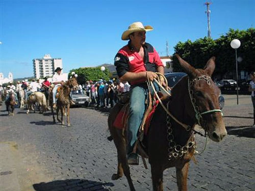 O povo de Muzambinho observa e prestigia os peões e seus animais