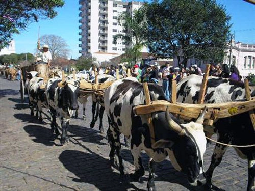 Os belos animais em desfile pelas ruas de Muzambinho