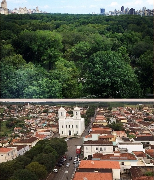 Vejam duas imagens aéreas que emocionam Milton Neves, porque são duas cidades irmãs, iguais e importantes: o Central Park em Nova York e a avenida Dr. Américo Luz em Muzambinho-MG